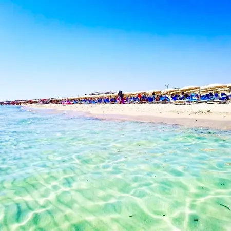 Casa Orchidea -